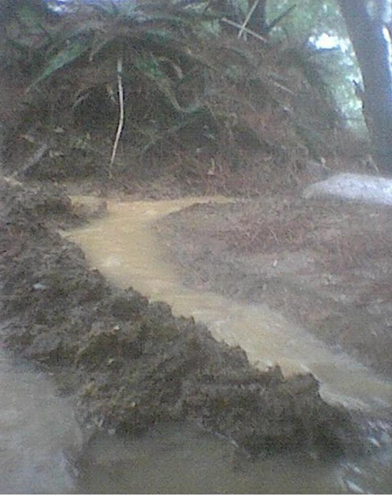 Pluja2