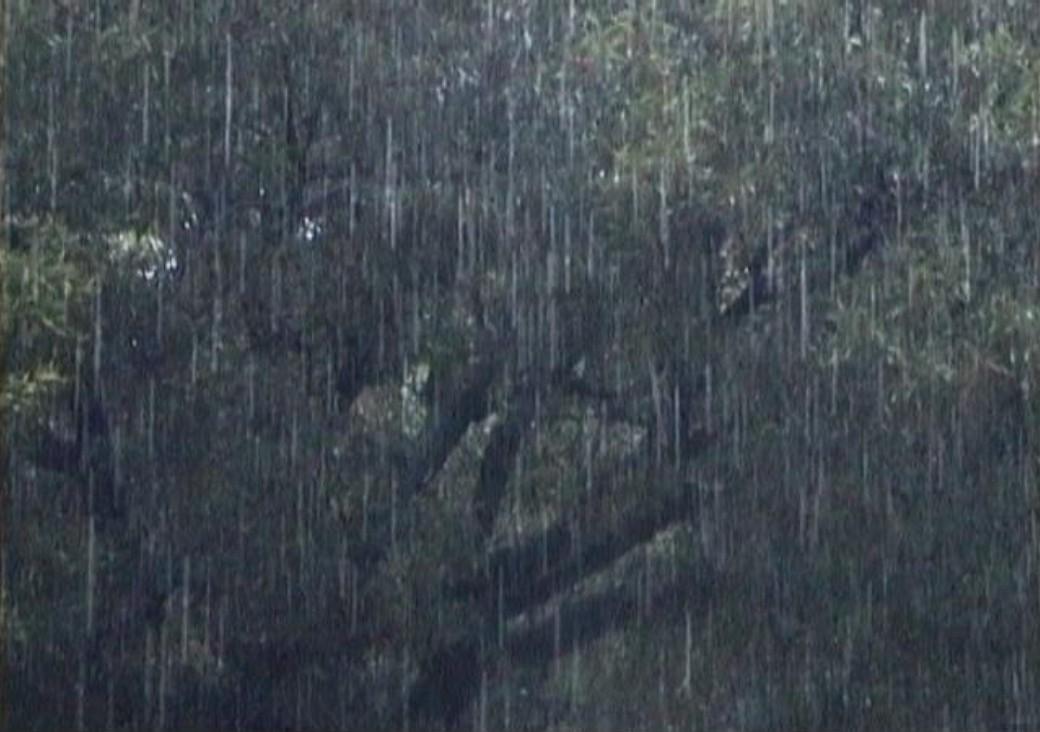 pluja3